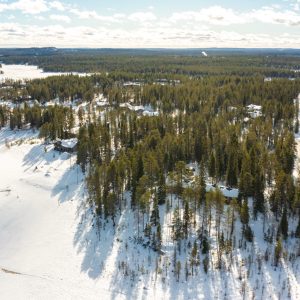 Salongintaus 1-141 Large